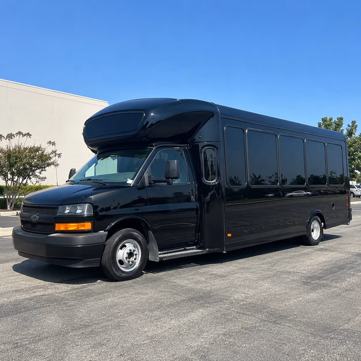 Group beside a Mercedes Sprinter limo in Irving