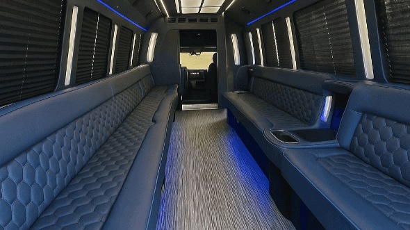 Interior of Charter Bus Company Dallas's 20 Passenger Party Bus in Dallas