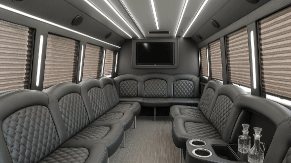 flower mound 20 passenger party bus