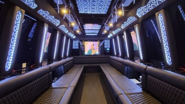 grapevine 20 passenger party bus