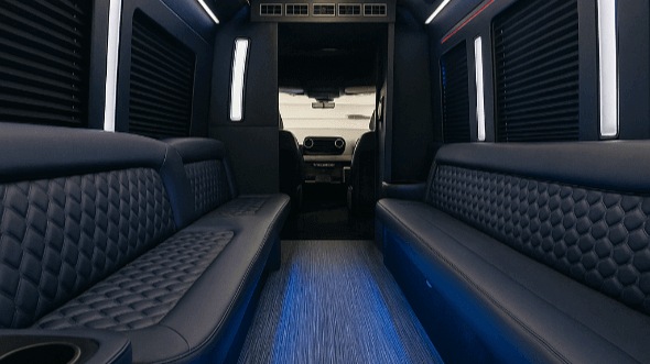 irving 20 passenger party bus rental