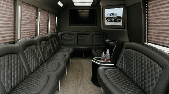 irving 28 passenger party bus rental